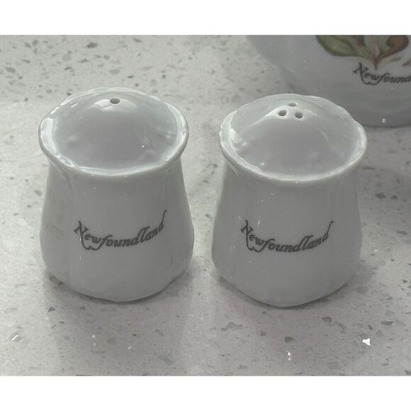 Mid Century Newfoundland Hand Painted Fine China Sugar Cream Salt Pepper Set - Picture 5 of 7